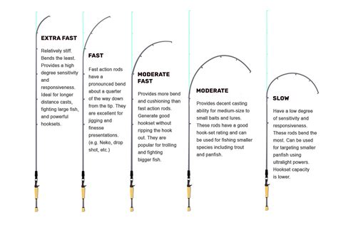 Fishing Rod Length Guide (With Examples) .
